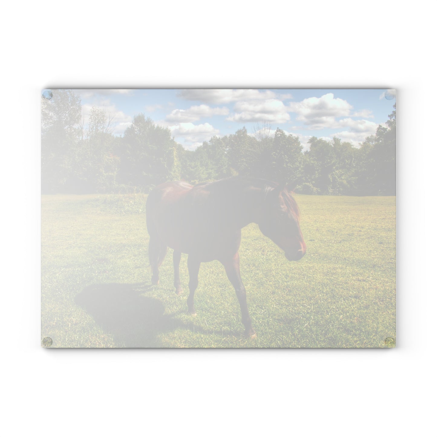U R There Photography Brown Beauty II Rustic Farmhouse Tempered-Glass Cutting Board