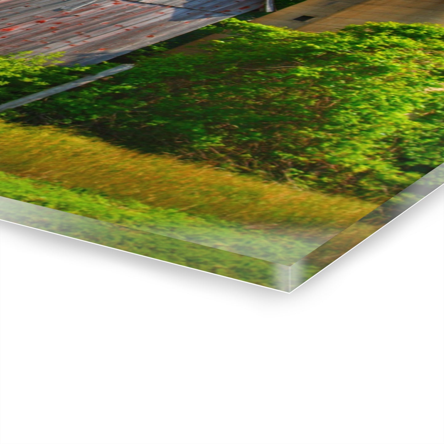 U R There Photography Mushroom Road Red and Silo Rustic Farmhouse Acrylic Wall Print