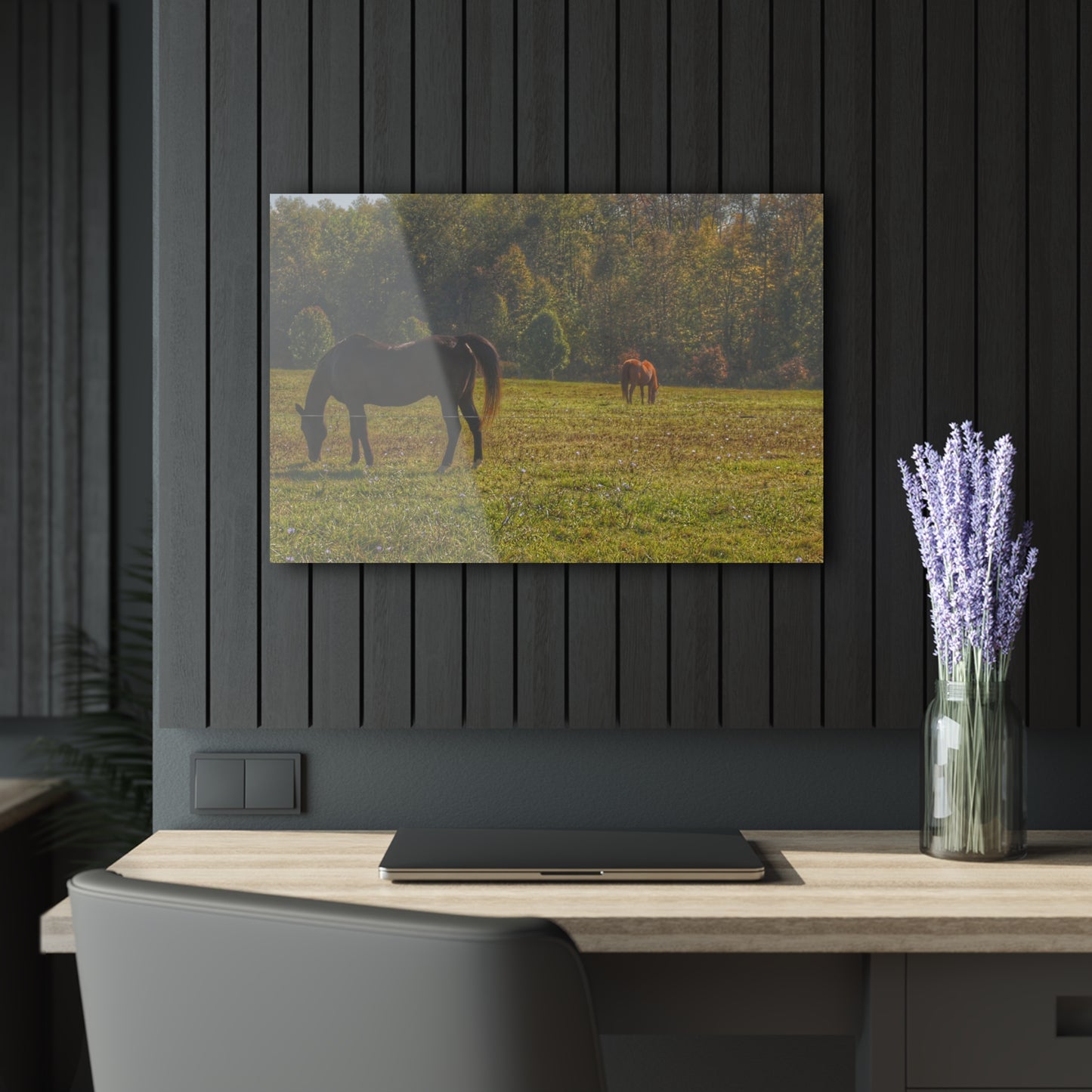 Barn Boutique Modern Farmhouse Acrylic Wall Print| Fargo Road Horses