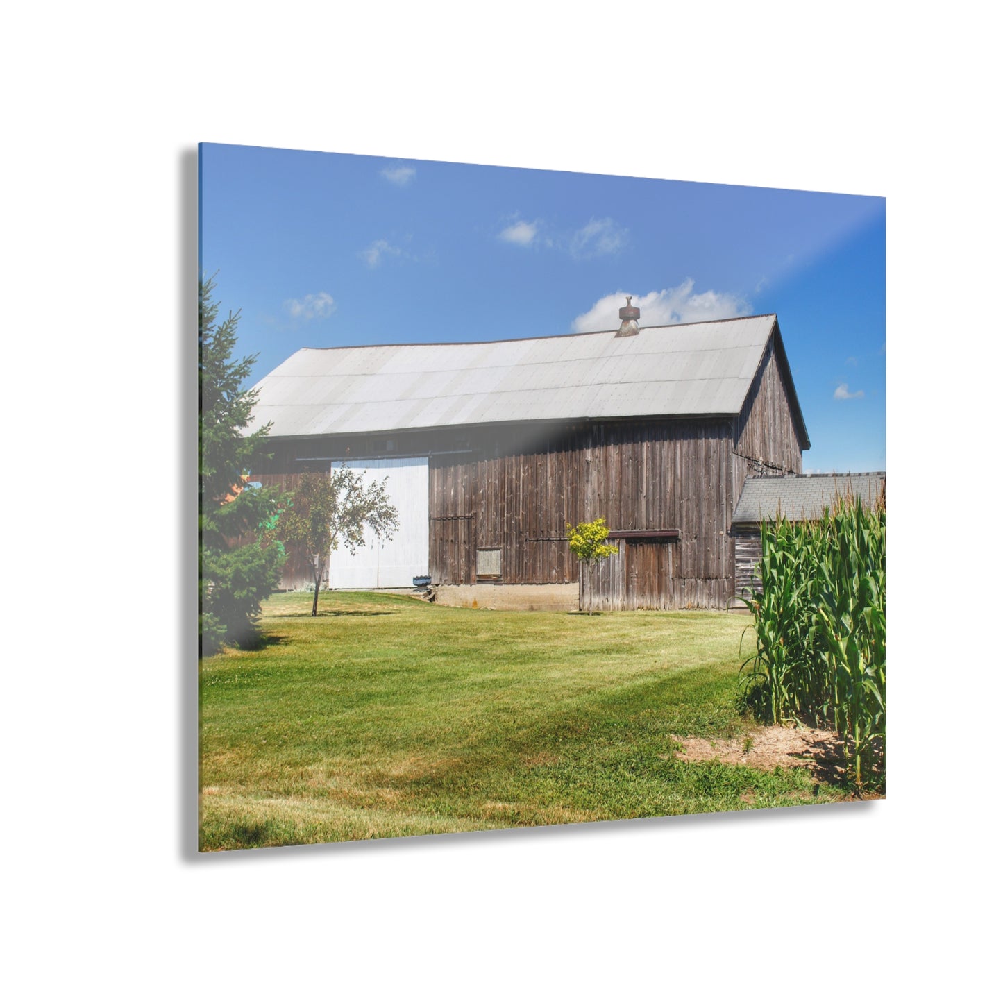 U R There Photography Frog Barn Rustic Farmhouse Acrylic Wall Print