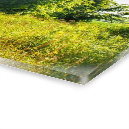 U R There Photography North Lake Pleasant Road Old Grey Rustic Farmhouse Acrylic Wall Print