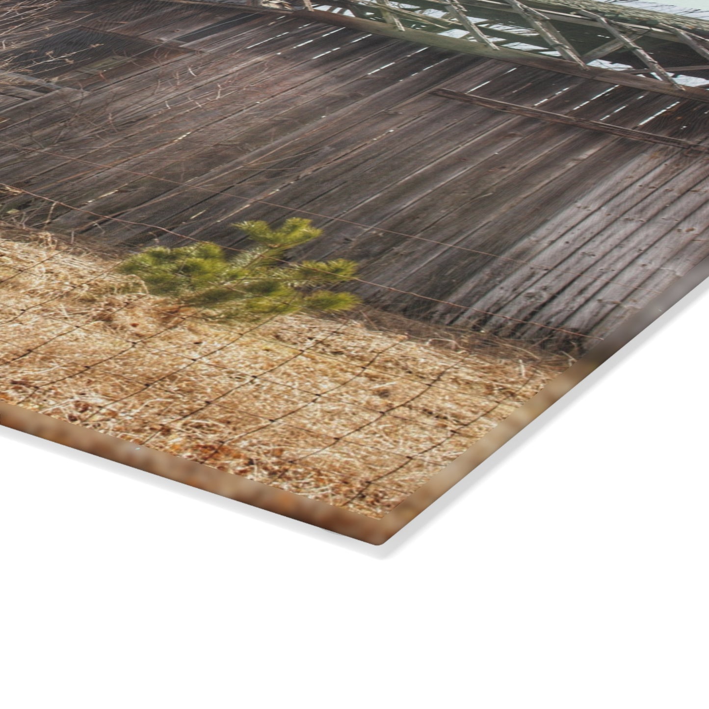 U R There Photography Leix Road Forgotten Grey II Rustic Farmhouse Tempered-Glass Cutting Board