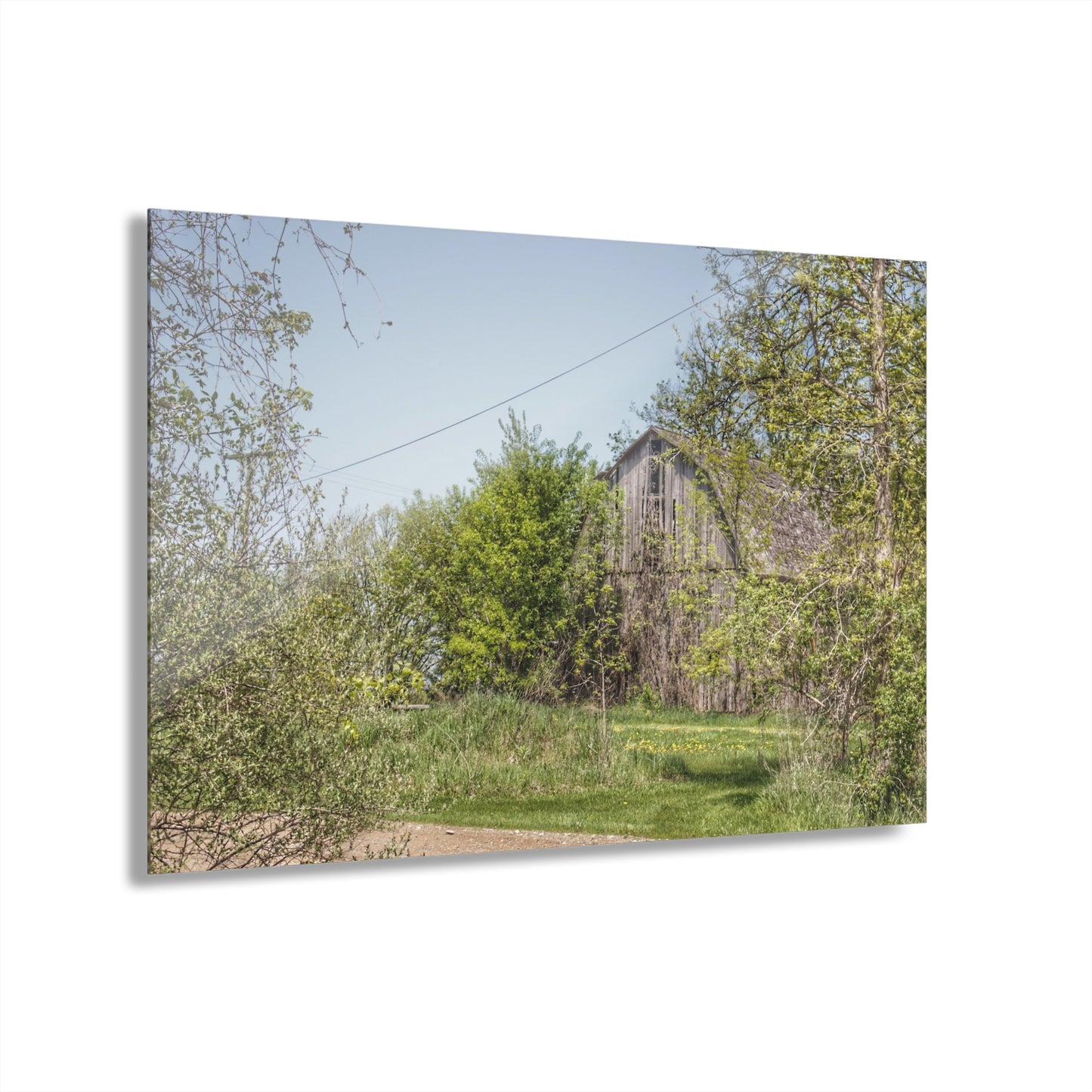 U R There Photography Bishop Road Grey II Rustic Farmhouse Acrylic Wall Print
