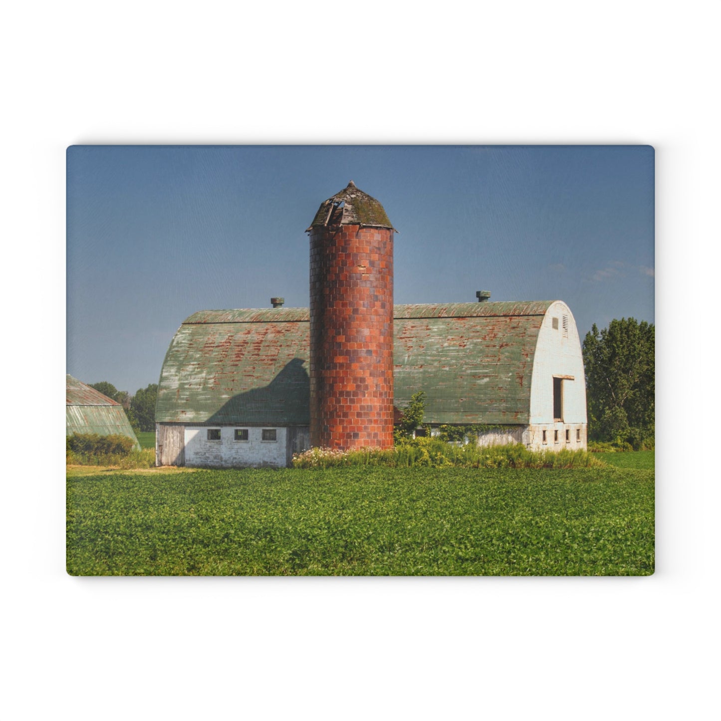 U R There Photography Elba White and Silo Rustic Farmhouse Tempered-Glass Cutting Board