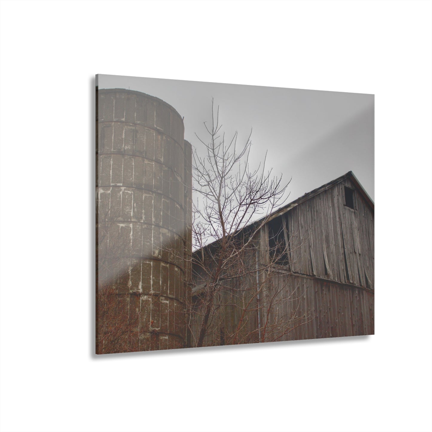 U R There Photography Brandon Hill Grey Rustic Farmhouse Acrylic Wall Print