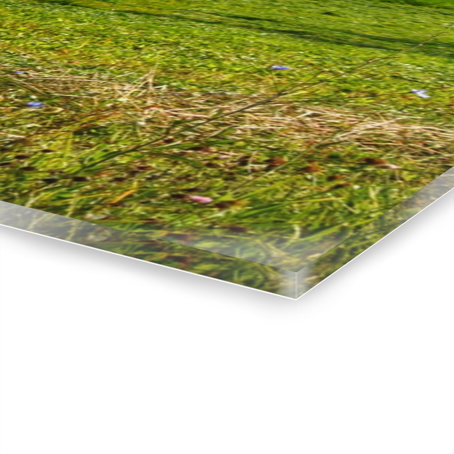 U R There Photography Across the Field in Kingston Rustic Farmhouse Acrylic Wall Print