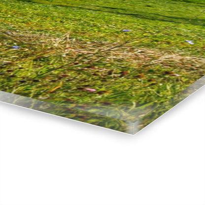 U R There Photography Across the Field in Kingston Rustic Farmhouse Acrylic Wall Print