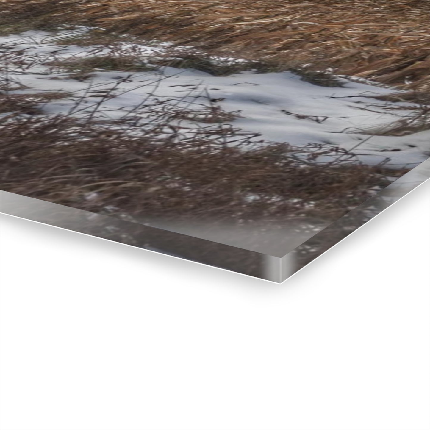 U R There Photography Edward Road Red Rustic Farmhouse Acrylic Wall Print