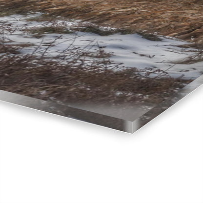 U R There Photography Edward Road Red Rustic Farmhouse Acrylic Wall Print