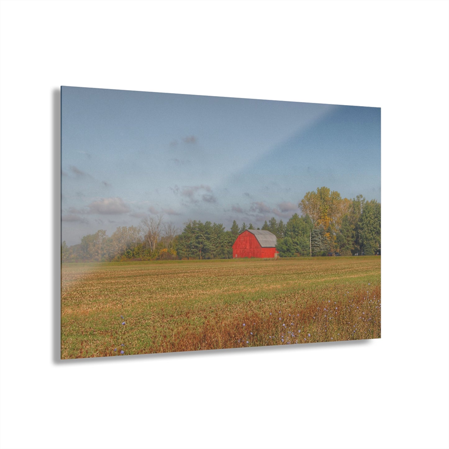 U R There Photography Fargo Road Little Red Rustic Farmhouse Acrylic Wall Print