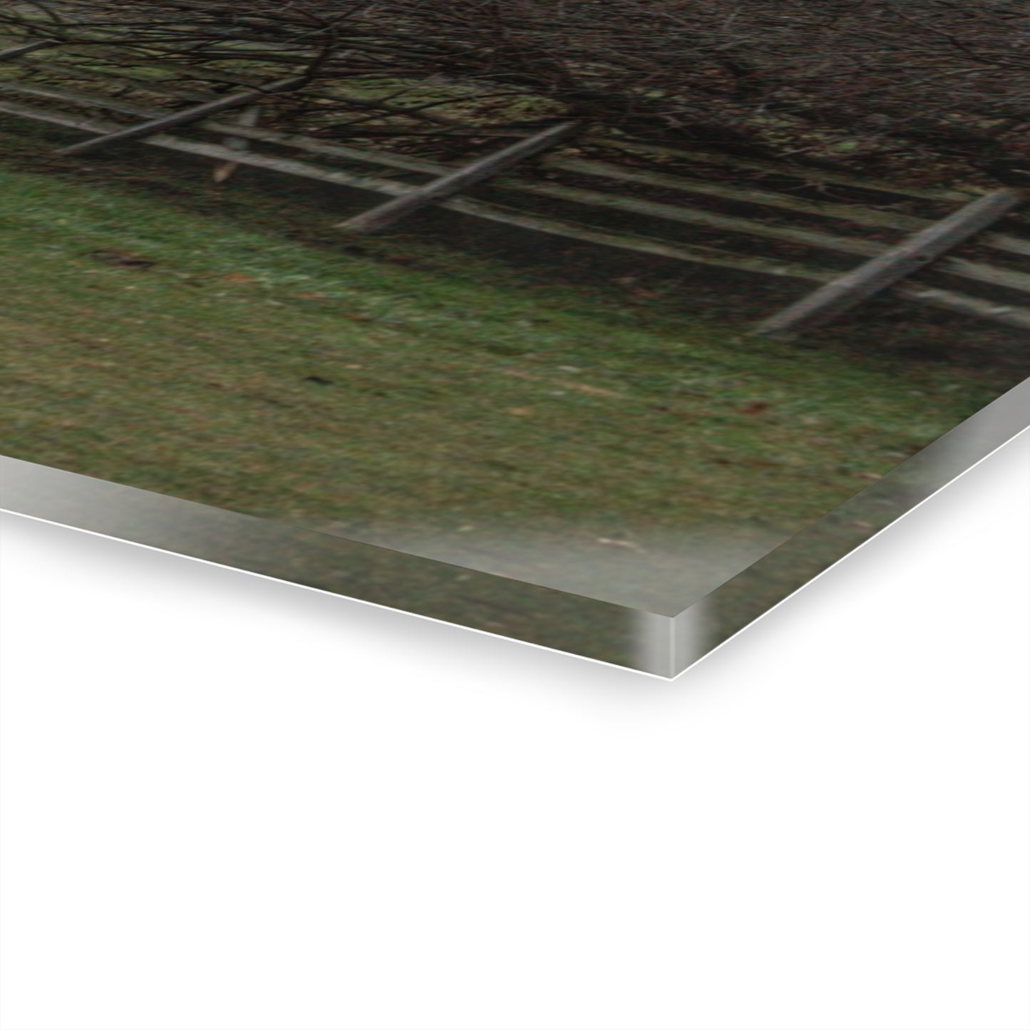 U R There Photography Myers Road Hidden White Rustic Farmhouse Acrylic Wall Print