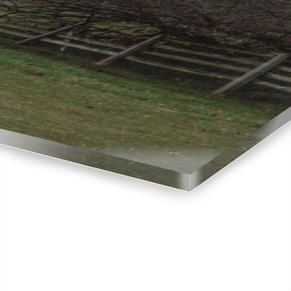 U R There Photography Myers Road Hidden White Rustic Farmhouse Acrylic Wall Print