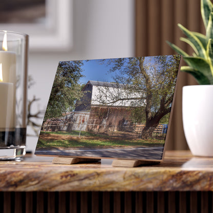 U R There Photography Birch Run Road Grey Rustic Farmhouse Decorative Ceramic Tile