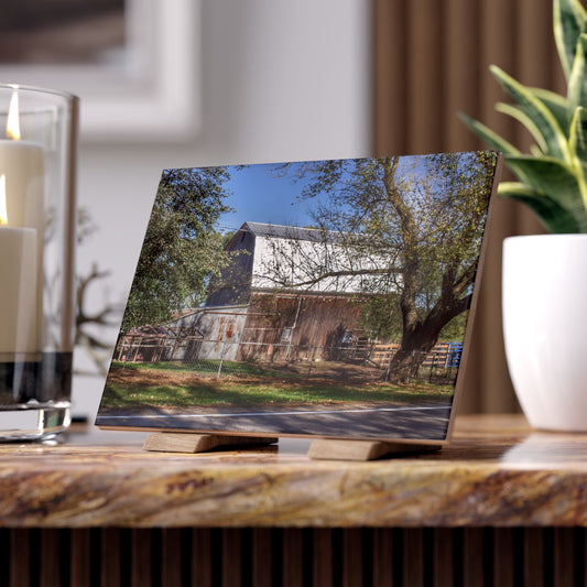 U R There Photography Birch Run Road Grey Rustic Farmhouse Decorative Ceramic Tile