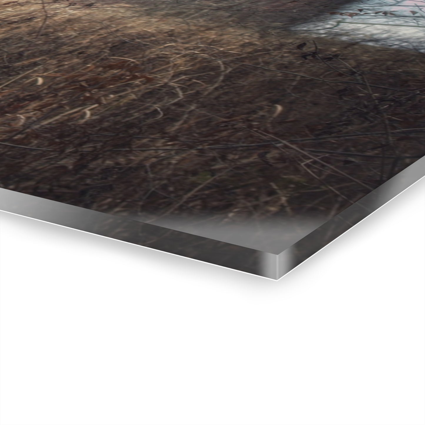 U R There Photography Mayville Hidden Barn I Rustic Farmhouse Acrylic Wall Print