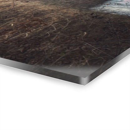 U R There Photography Mayville Hidden Barn I Rustic Farmhouse Acrylic Wall Print