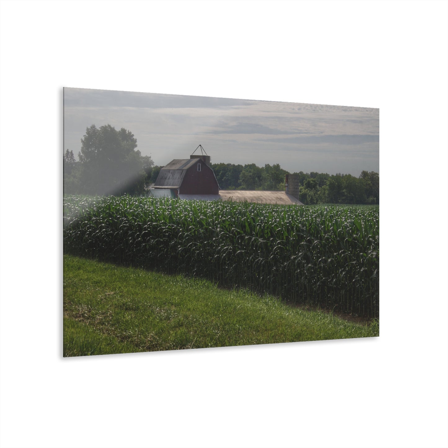 U R There Photography Above the Corn on Piersonville Road II Rustic Farmhouse Acrylic Wall Print