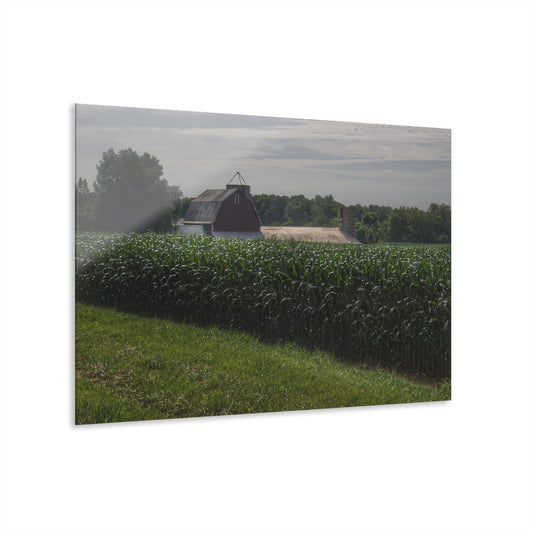 U R There Photography Above the Corn on Piersonville Road II Rustic Farmhouse Acrylic Wall Print