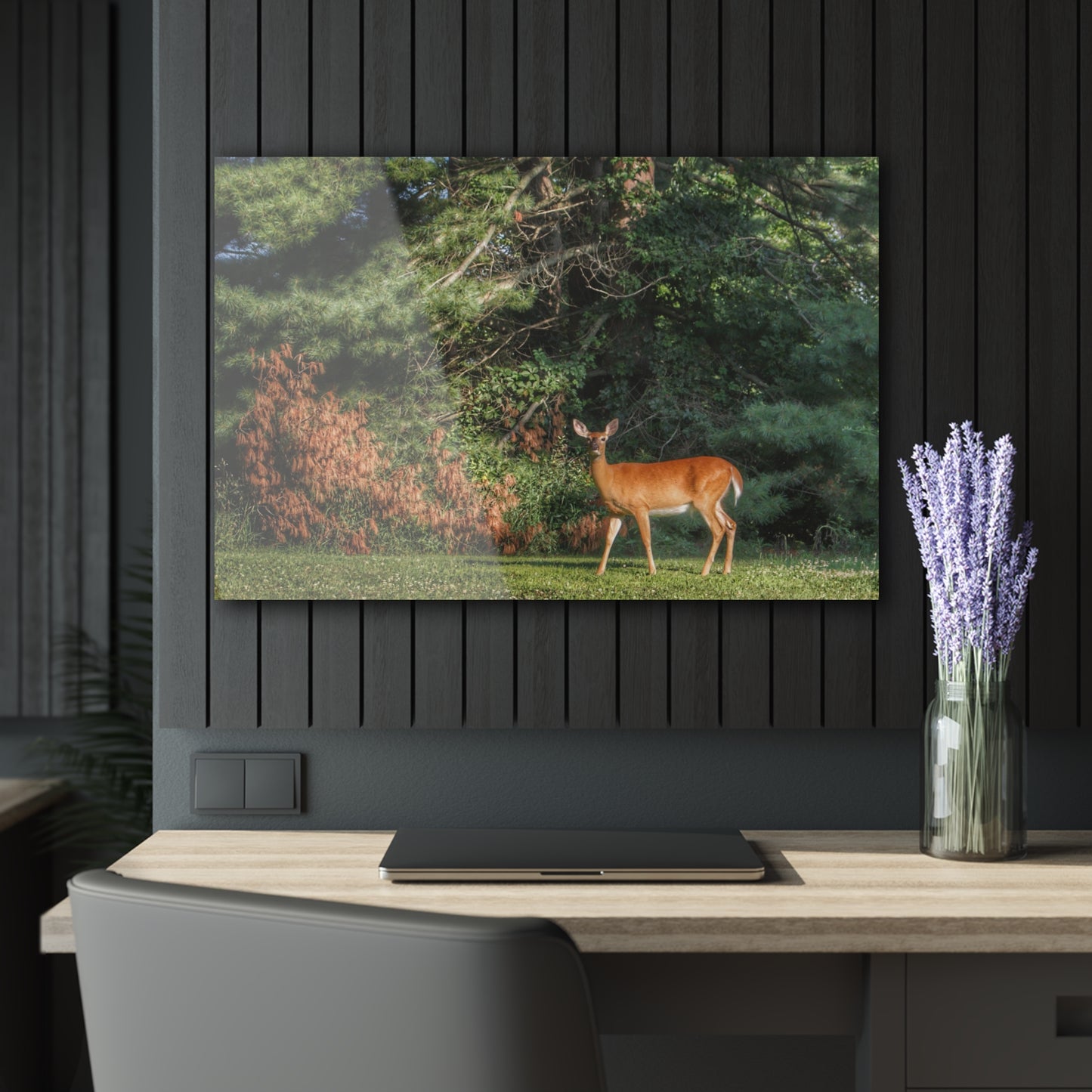 U R There Photography Mitchell Road Doe Rustic Farmhouse Acrylic Wall Print