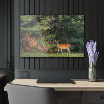 U R There Photography Mitchell Road Doe Rustic Farmhouse Acrylic Wall Print
