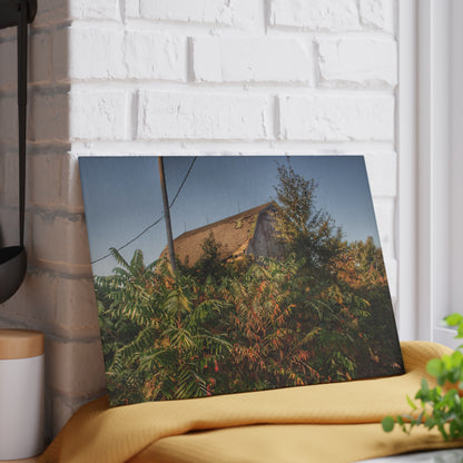 U R There Photography Hidden on Bearanger Road Rustic Farmhouse Tempered-Glass Cutting Board