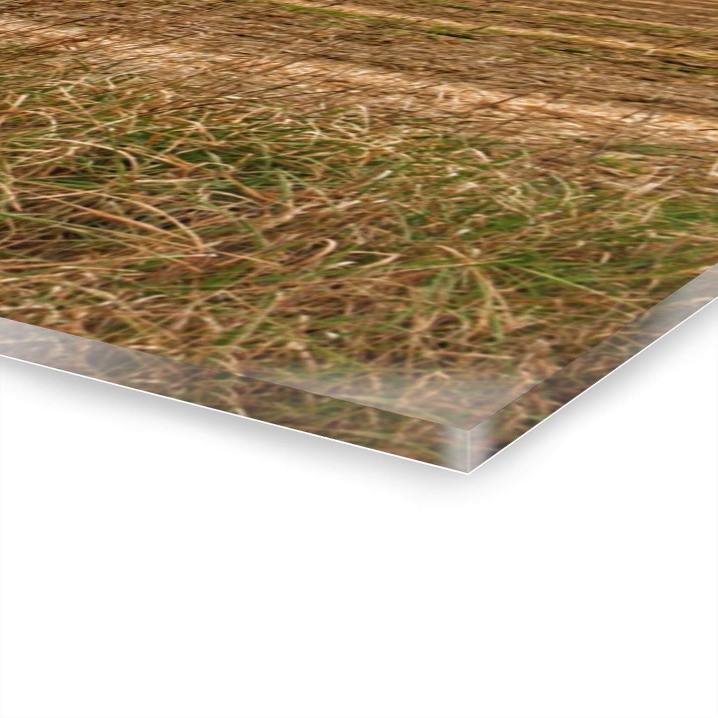 U R There Photography Freiberger Road Grey Across the Field Rustic Farmhouse Acrylic Wall Print