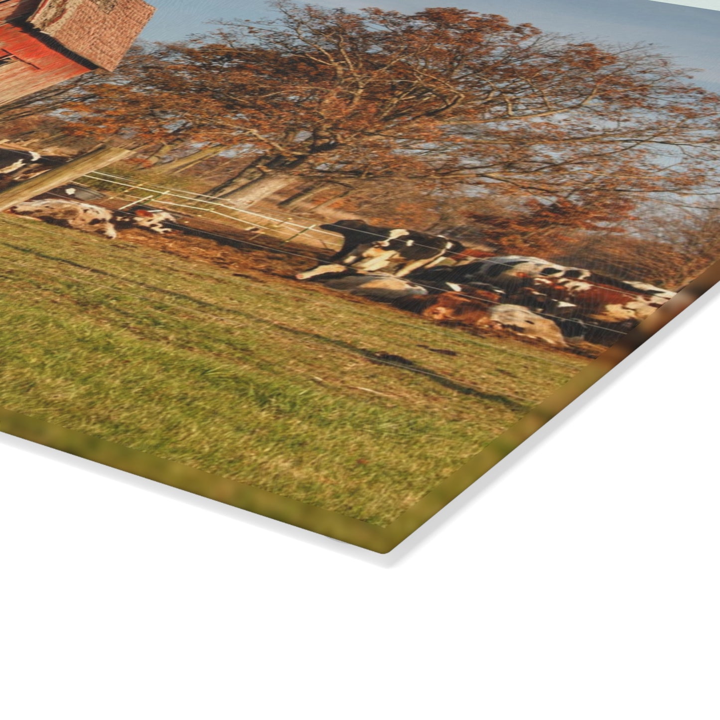 U R There Photography Marathon Road Red Rustic Farmhouse Tempered-Glass Cutting Board 8"x 11"
