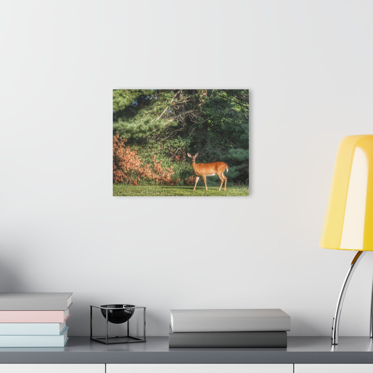 U R There Photography Mitchell Road Doe Rustic Farmhouse Acrylic Wall Print