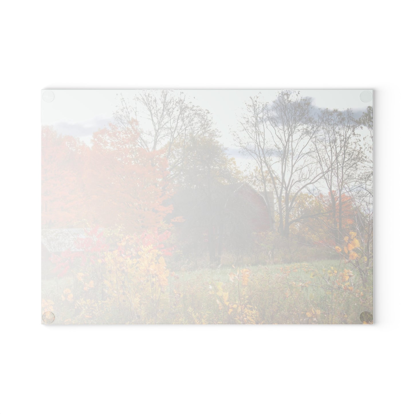 U R There Photography Bowers Hidden Red Rustic Farmhouse Tempered-Glass Cutting Board