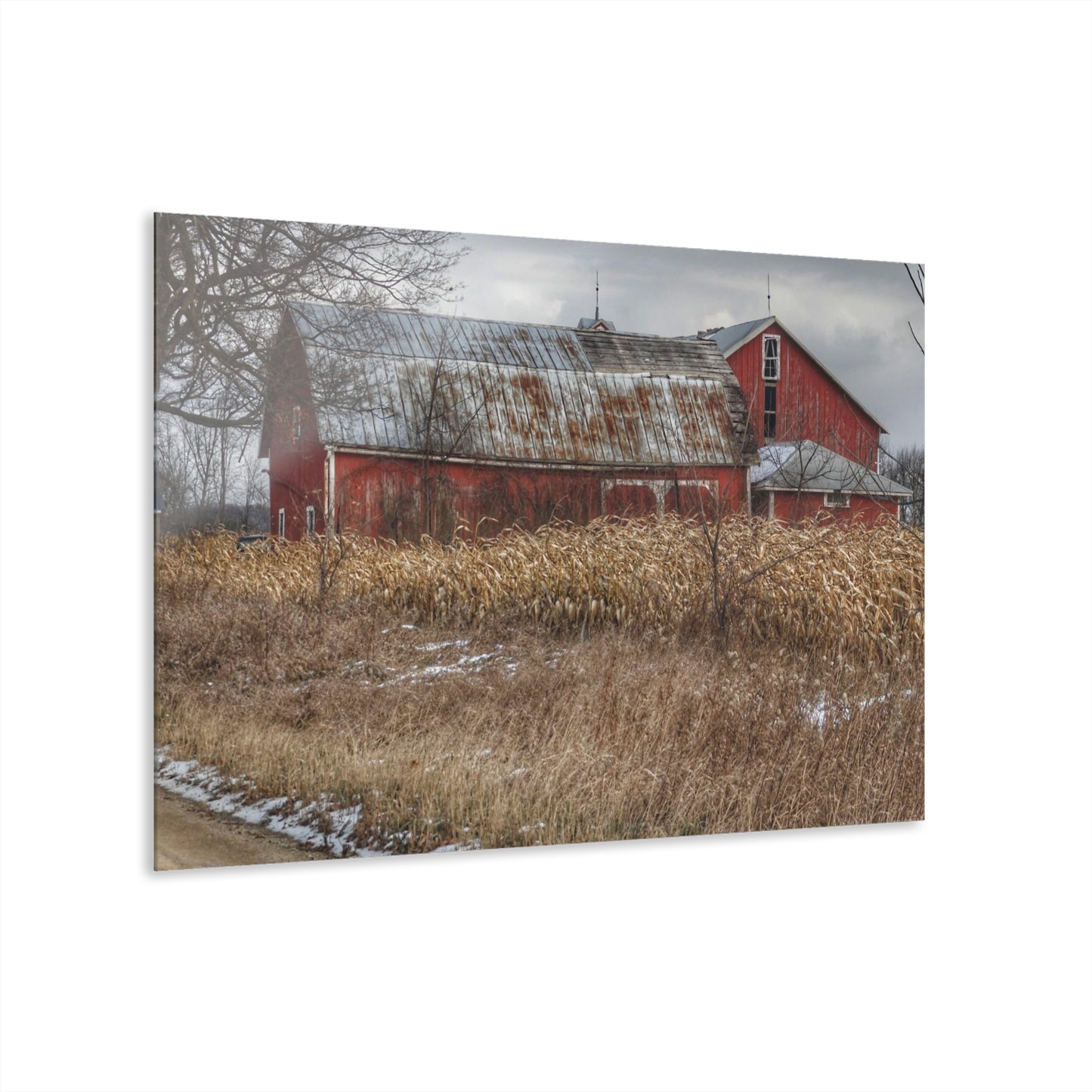 U R There Photography Edward Road Reds Rustic Farmhouse Acrylic Wall Print