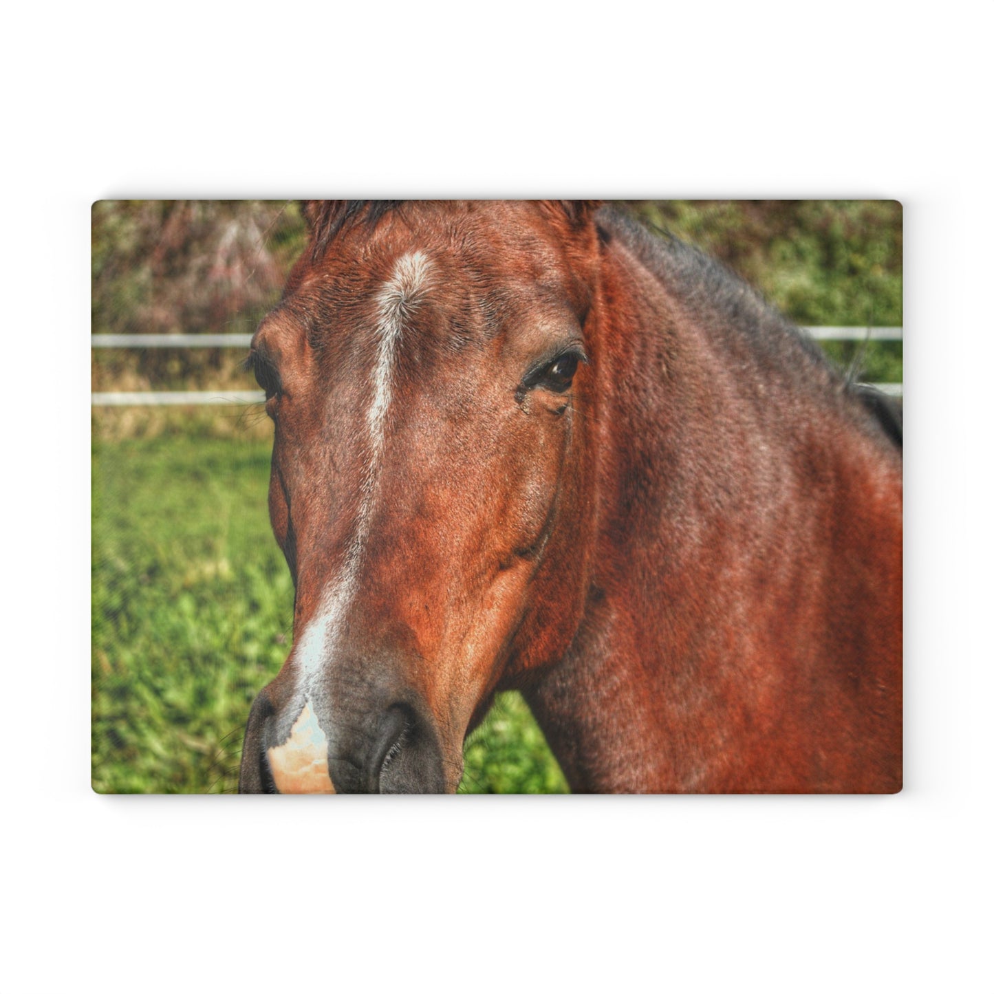 Barn Boutique Rustic Tempered-Glass Cutting Board| Irish Road Brownie