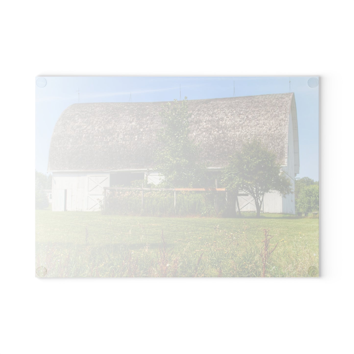 U R There Photography Country White Rustic Farmhouse Tempered-Glass Cutting Board