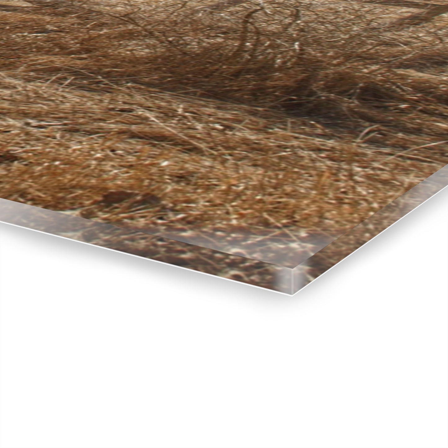 U R There Photography Hough Road Rural Red Rustic Farmhouse Acrylic Wall Print