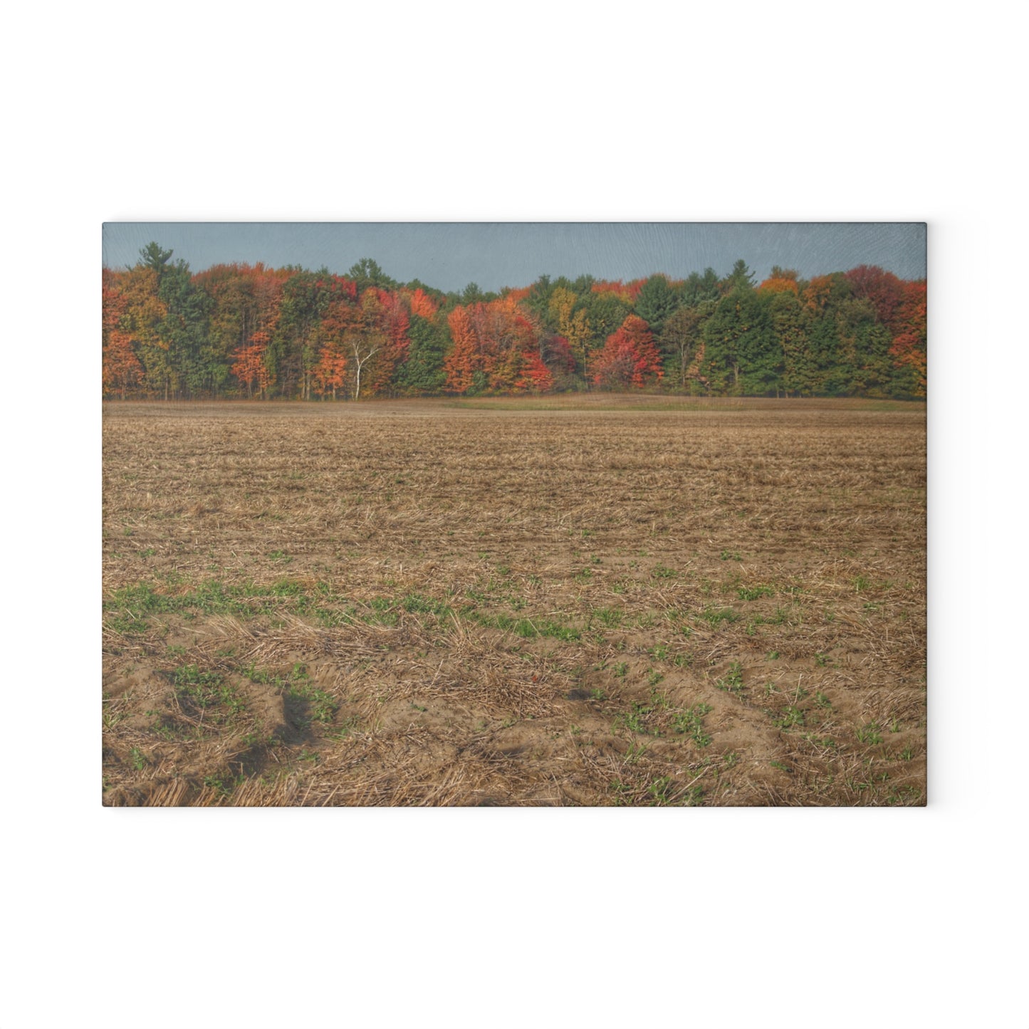 U R There Photography Fall on Murphy Lake III Rustic Farmhouse Tempered-Glass Cutting Board