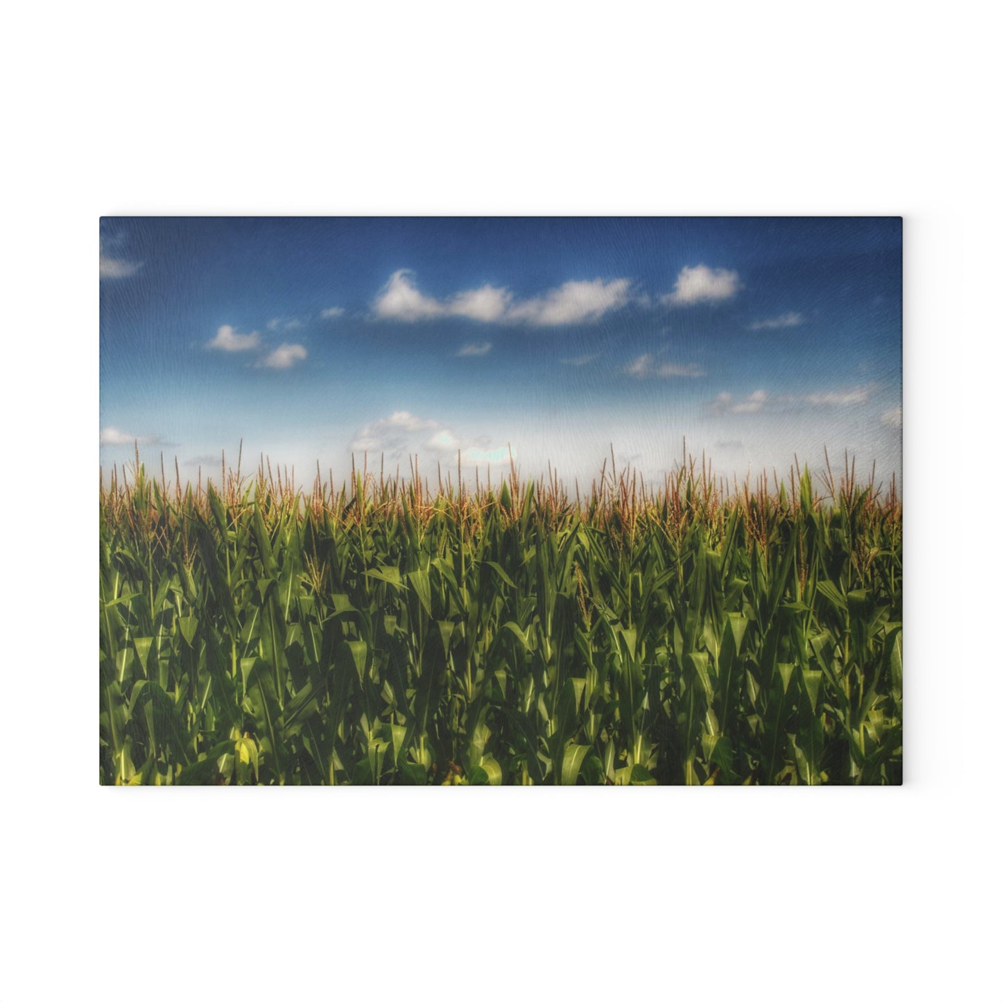 U R There Photography Sky-High Corn Rustic Farmhouse Tempered-Glass Cutting Board