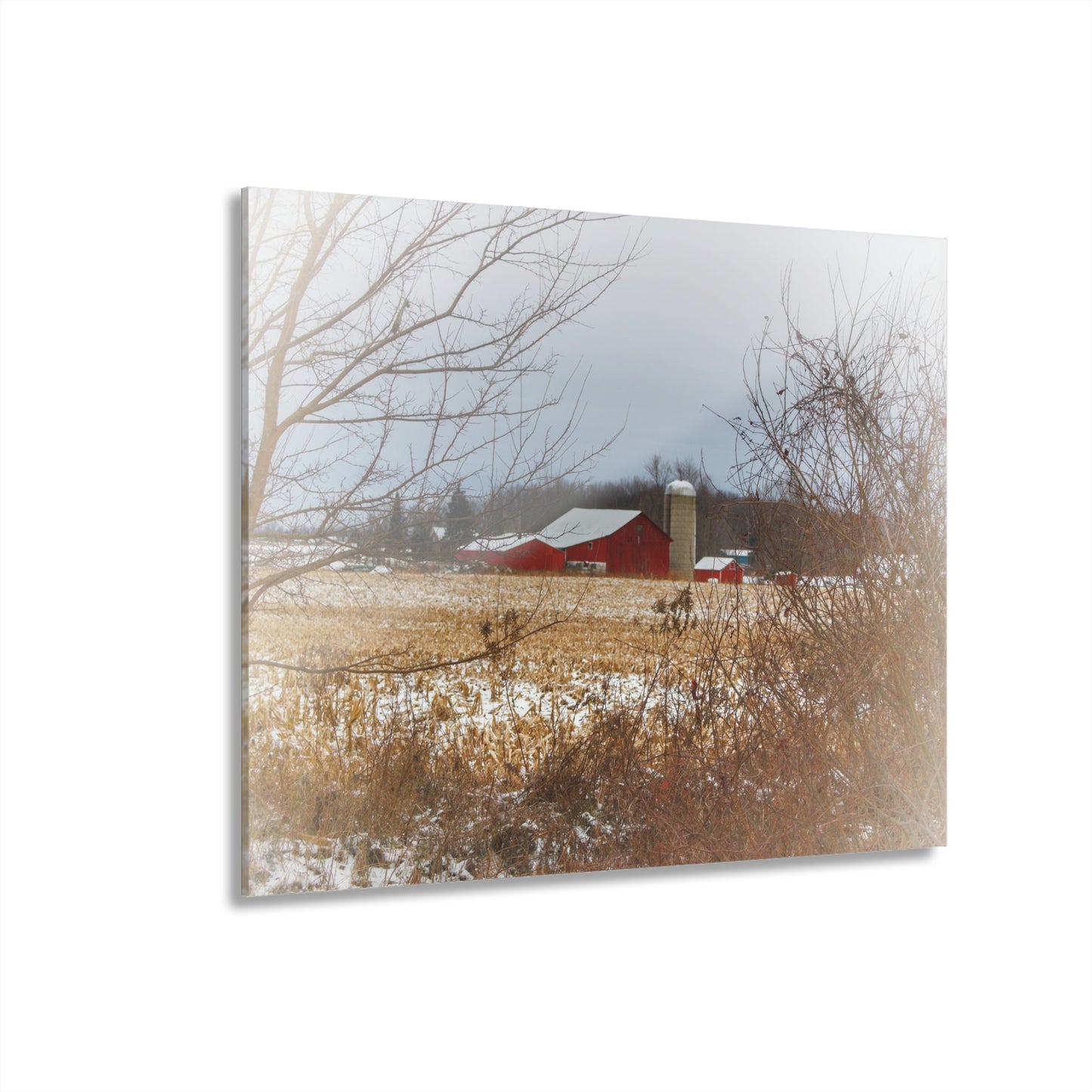 U R There Photography Brook Road Red in Winter Rustic Farmhouse Acrylic Wall Print