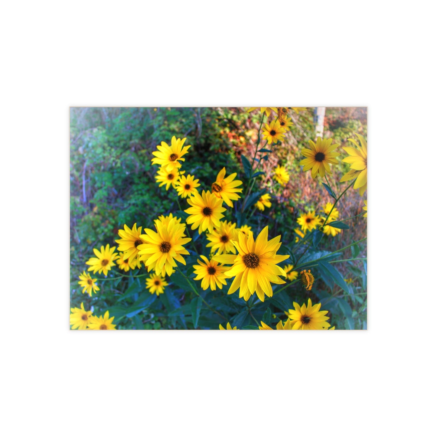 U R There Photography Bursts of Gold Rustic Farmhouse Decorative Ceramic Tile