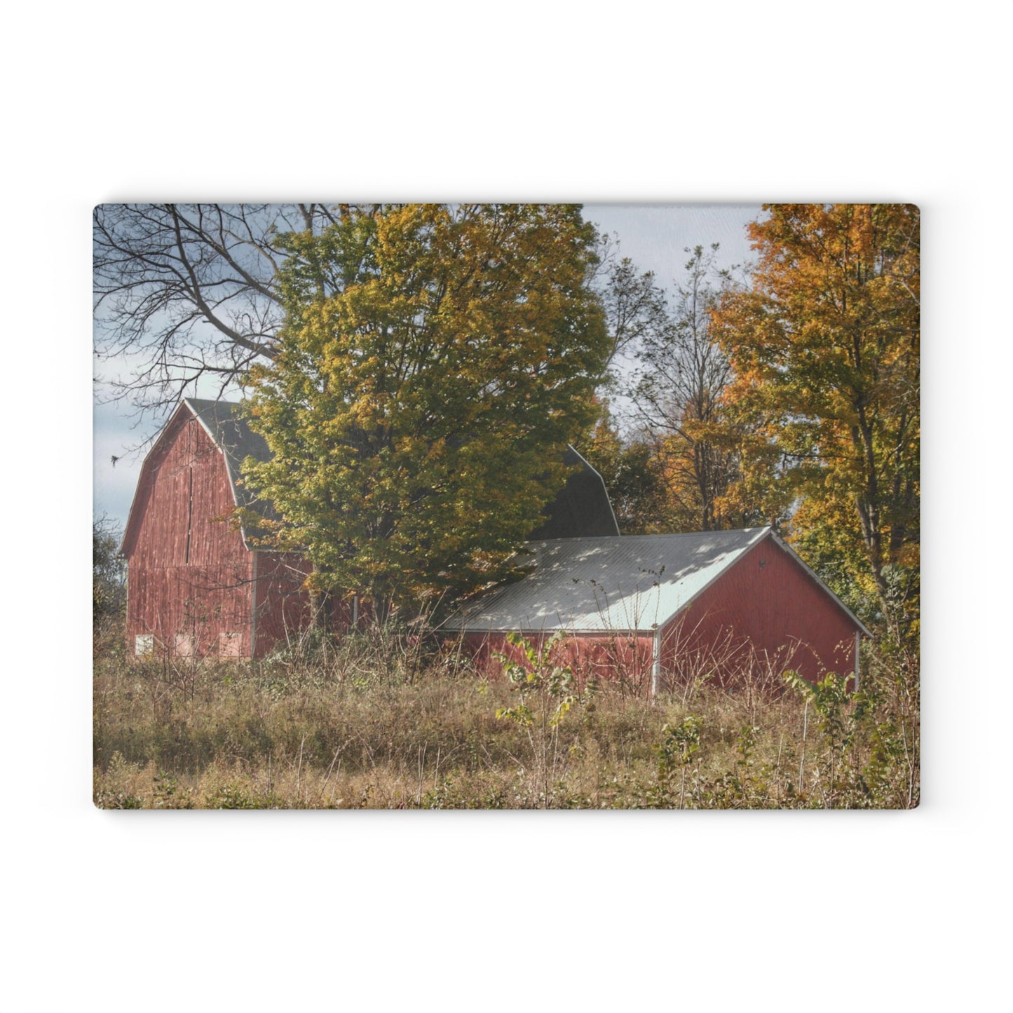 U R There Photography Bowers Road Red I Rustic Farmhouse Tempered-Glass Cutting Board