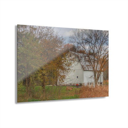 U R There Photography East Oakwood White Rustic Farmhouse Acrylic Wall Print