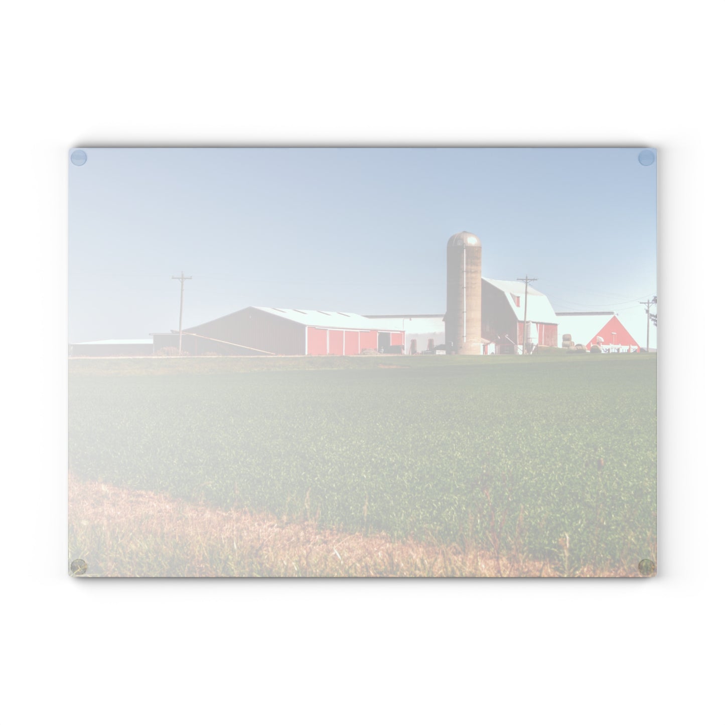 Barn Boutique Rustic Tempered-Glass Cutting Board| Patterson Road Farm Across the Field II