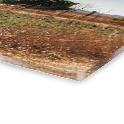 U R There Photography French Road Little Red Rustic Farmhouse Acrylic Wall Print