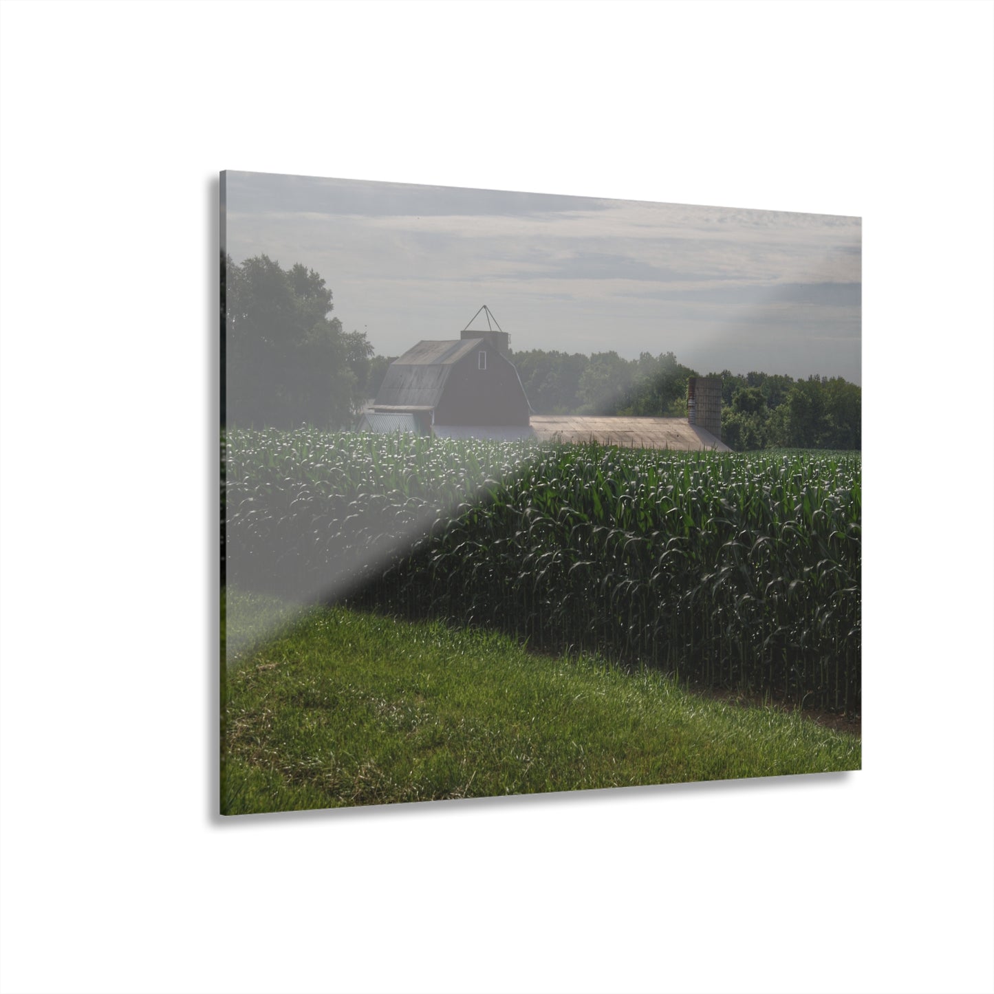 U R There Photography Above the Corn on Piersonville Road II Rustic Farmhouse Acrylic Wall Print