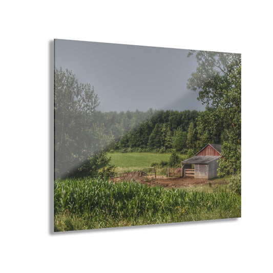 U R There Photography West Oregon Road Hidden Red I Rustic Farmhouse Acrylic Wall Print