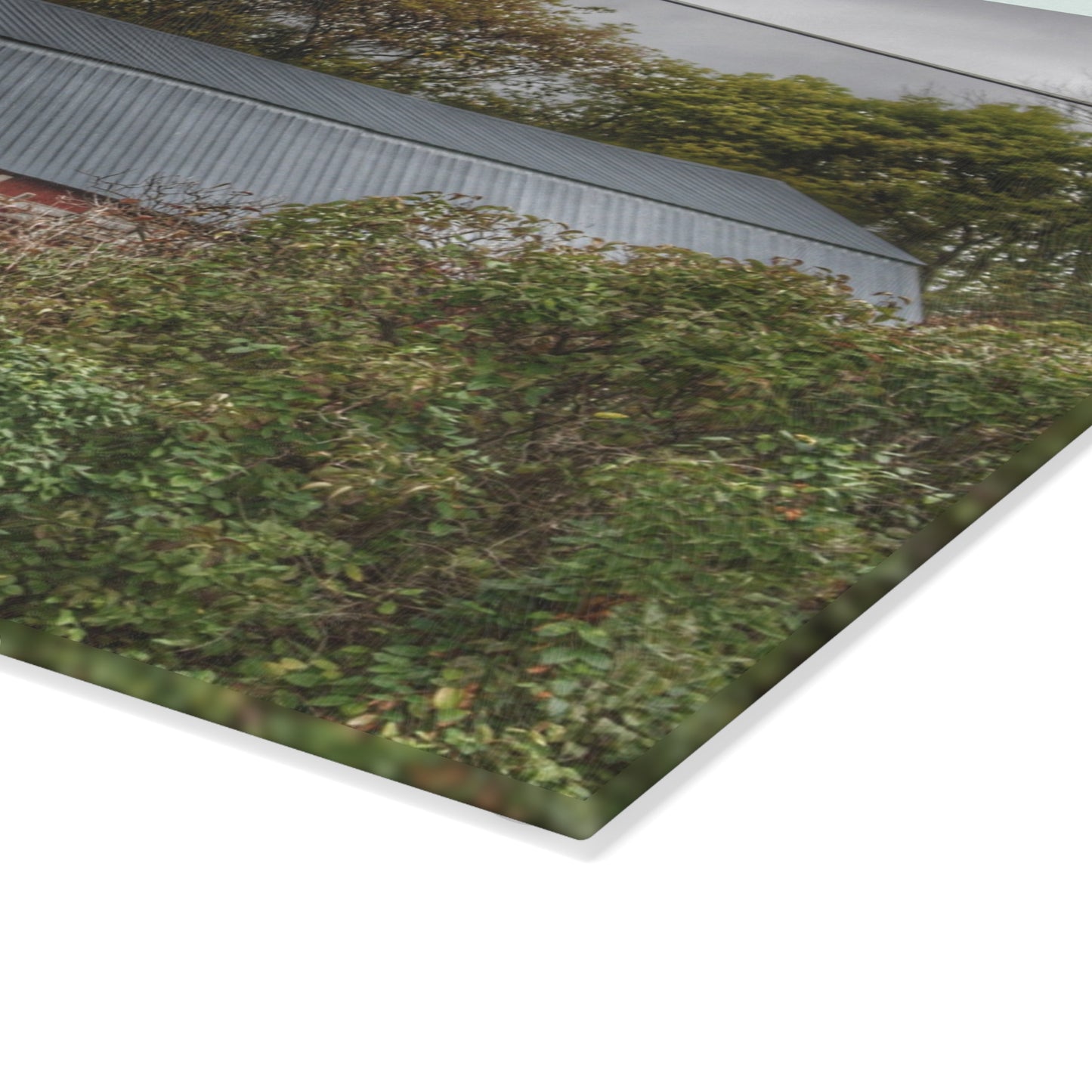 U R There Photography North Clio Road Red Rustic Farmhouse Tempered-Glass Cutting Board