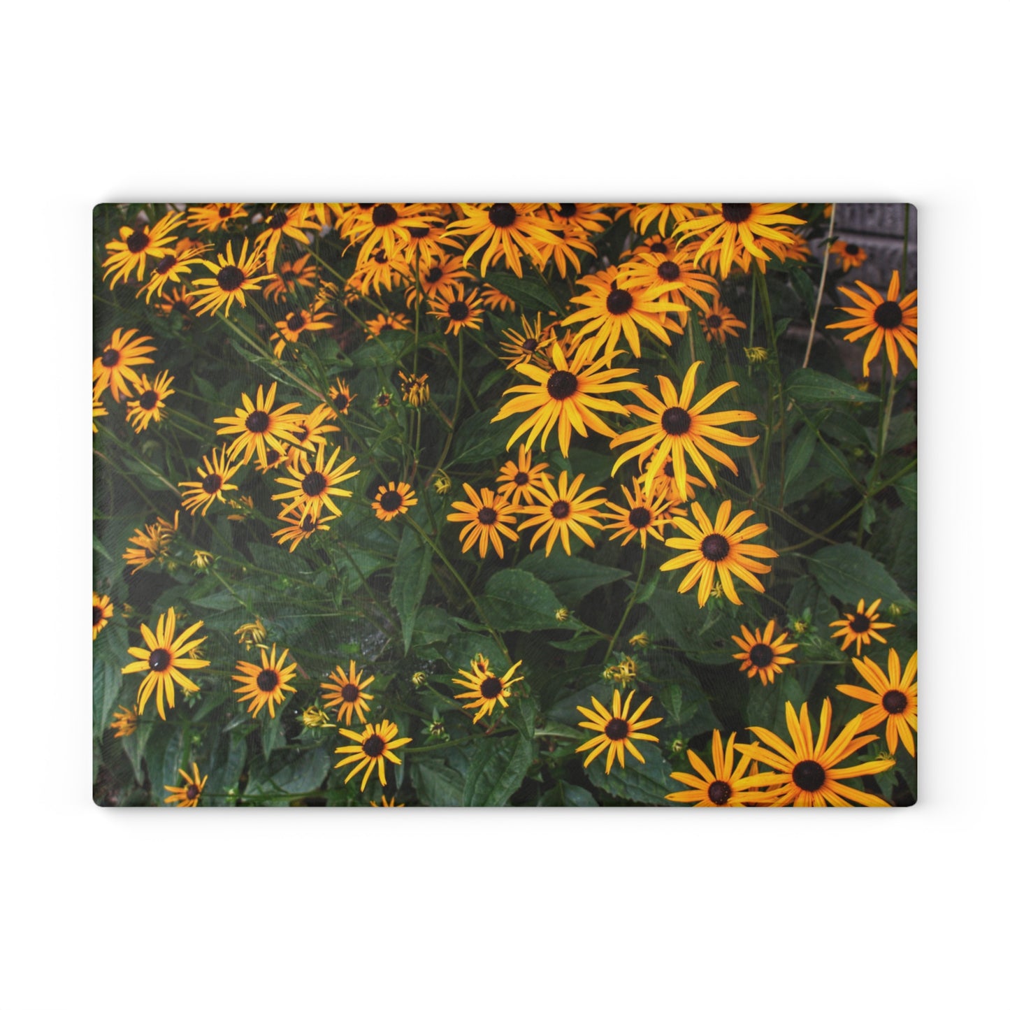 Barn Boutique Rustic Tempered-Glass Cutting Board| Black-Eyed Susans