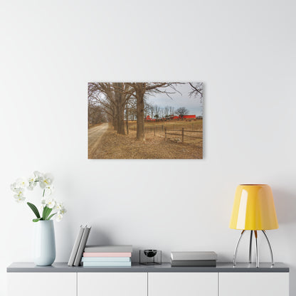 U R There Photography Wilder Road Cow Farm Rustic Farmhouse Acrylic Wall Print