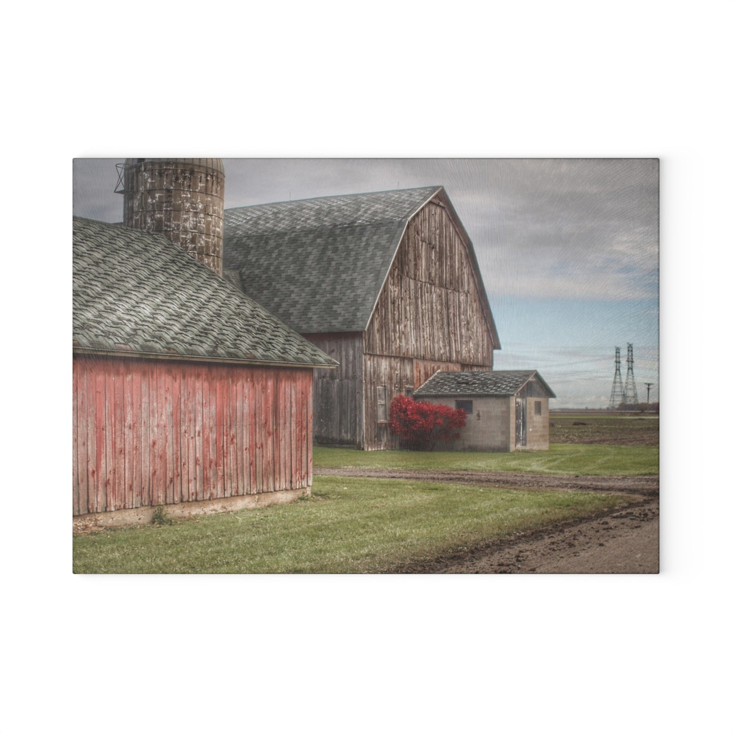 U R There Photography Roedel Roadside Reds III Rustic Farmhouse Tempered-Glass Cutting Board