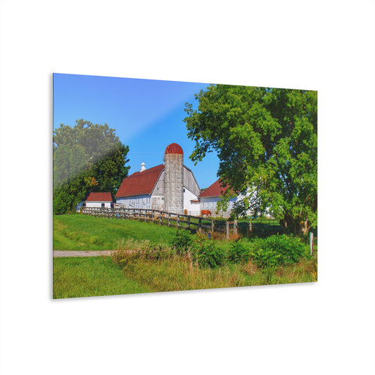 U R There Photography Vienna Roadside White Rustic Farmhouse Acrylic Wall Print