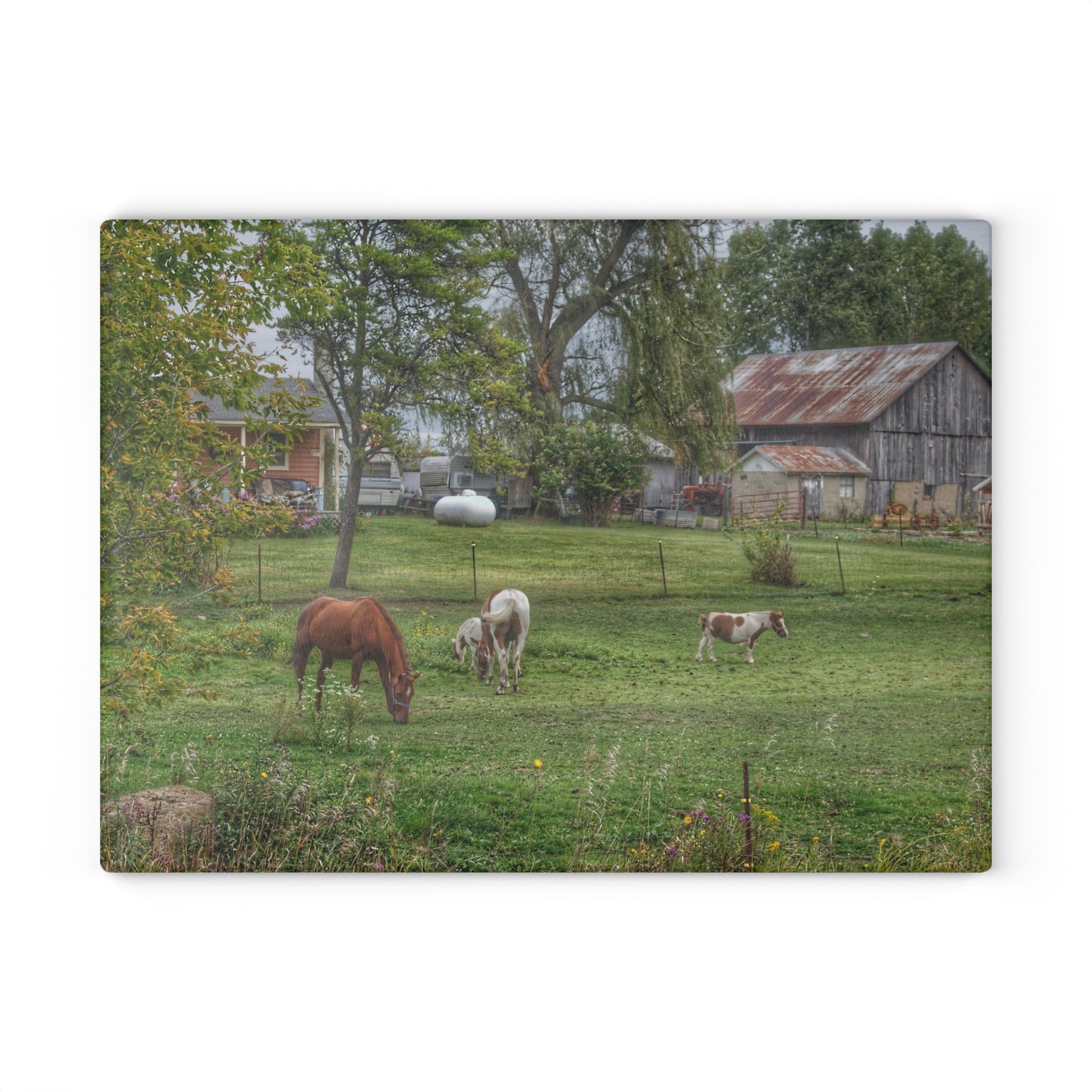 U R There Photography Front Yard Ponies Rustic Farmhouse Tempered-Glass Cutting Board