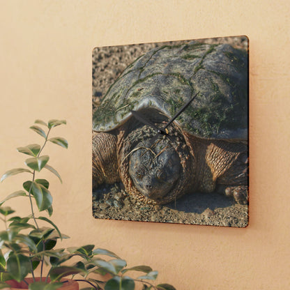 U R There Photography Fargo Road Turtle Rustic Farmhouse Acrylic Analog Wall Clock